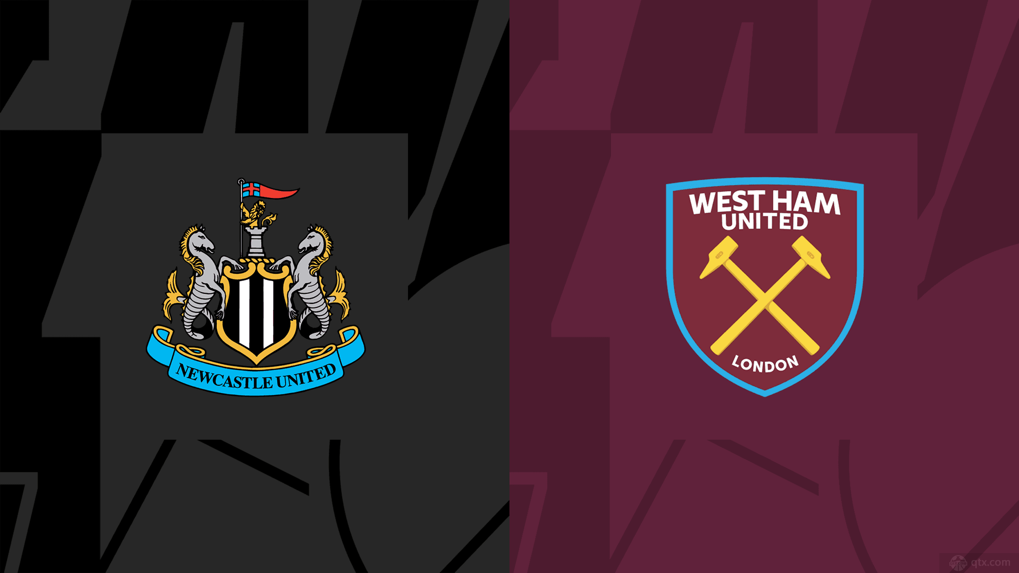 的球迷支持 的球迷支持